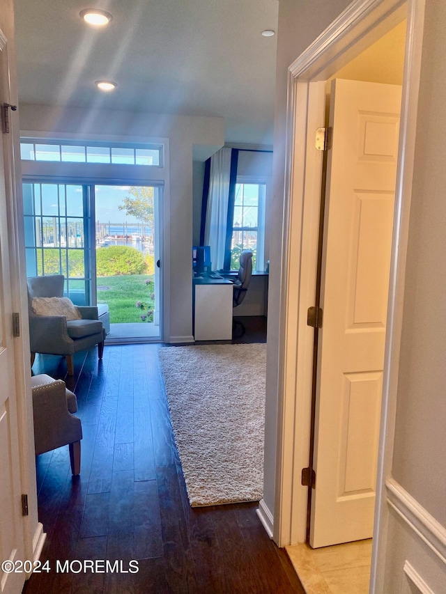 hallway with wood-type flooring