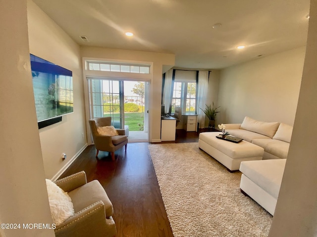 living room featuring hardwood / wood-style flooring