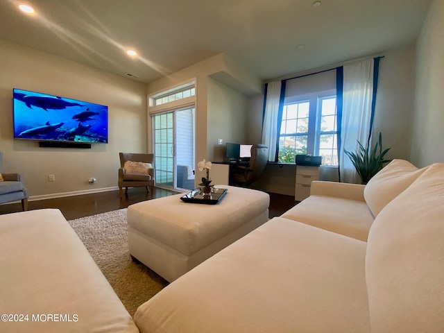 living room featuring dark hardwood / wood-style floors