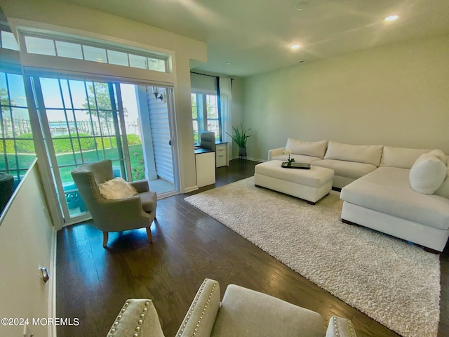 living room featuring dark hardwood / wood-style floors