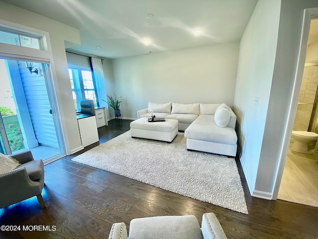 living room with dark hardwood / wood-style flooring