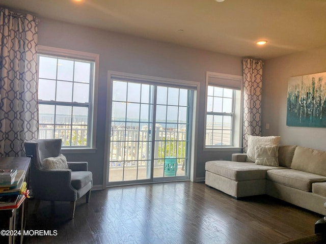 sitting room featuring dark hardwood / wood-style floors