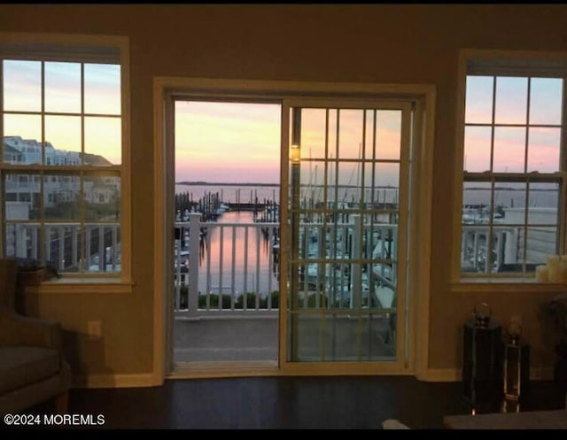 doorway to outside featuring a water view and dark wood-type flooring