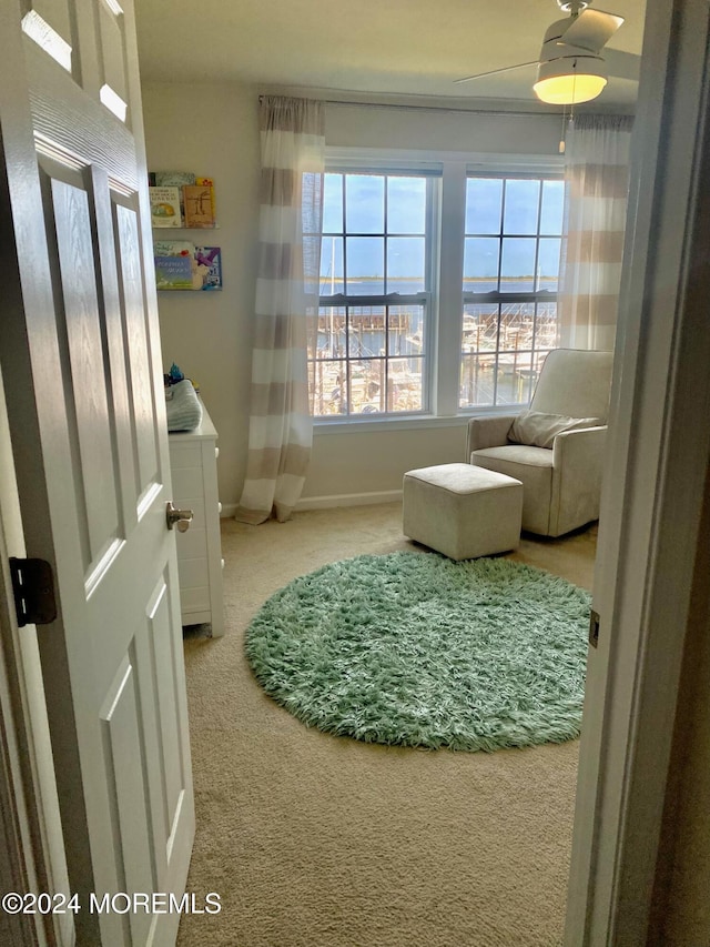 sitting room featuring carpet floors