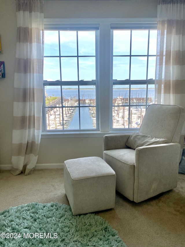 sitting room with carpet floors and a water view