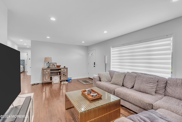 living room featuring hardwood / wood-style floors