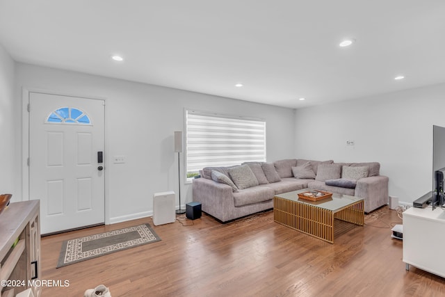 living room with light wood-type flooring