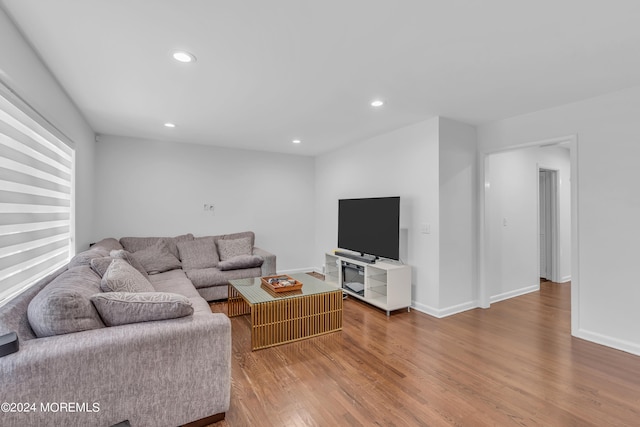 living room with hardwood / wood-style floors