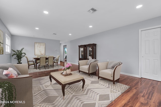 living room featuring wood-type flooring