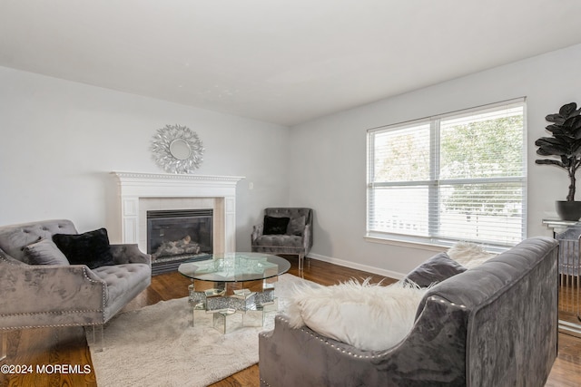 living room featuring a tile fireplace and hardwood / wood-style flooring