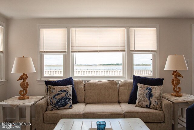 living room with a water view and a healthy amount of sunlight