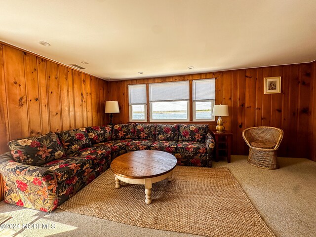 living room with carpet floors and wooden walls