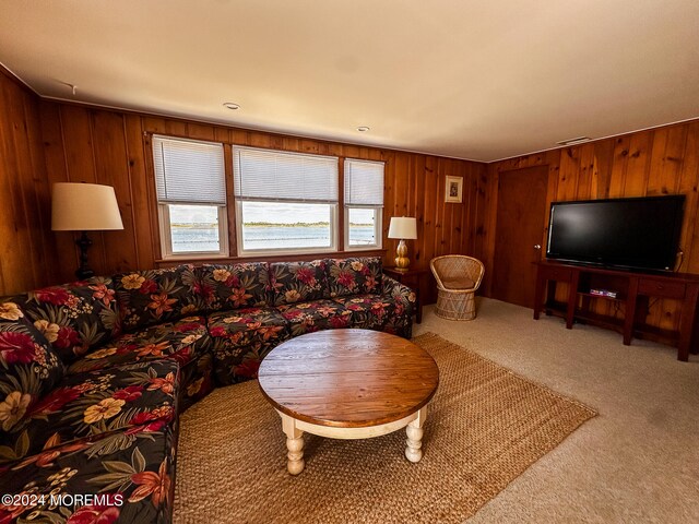 living room featuring carpet floors and wooden walls