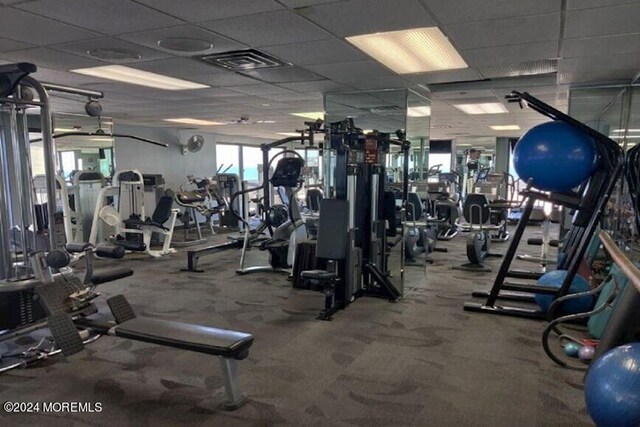 gym featuring carpet floors and a drop ceiling