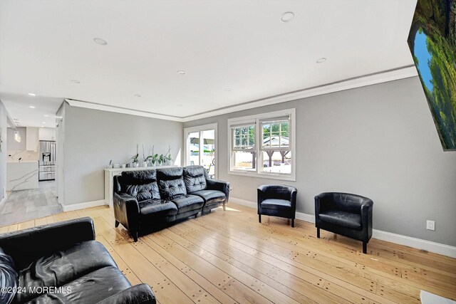 living room featuring light hardwood / wood-style flooring and crown molding