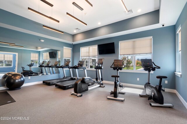 exercise room featuring plenty of natural light