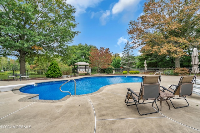 view of pool with a patio