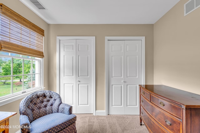 sitting room with light carpet