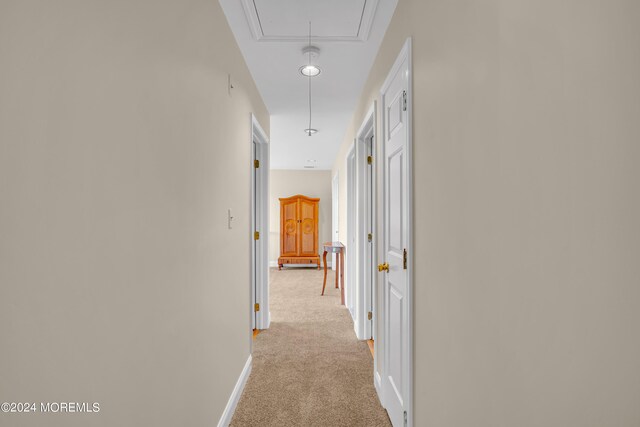 corridor featuring light carpet