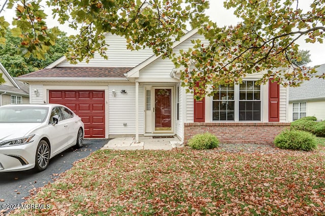 view of front facade with a garage