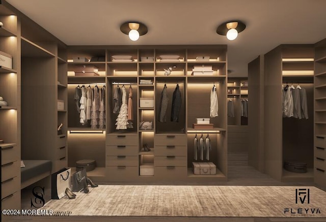 view of walk in closet