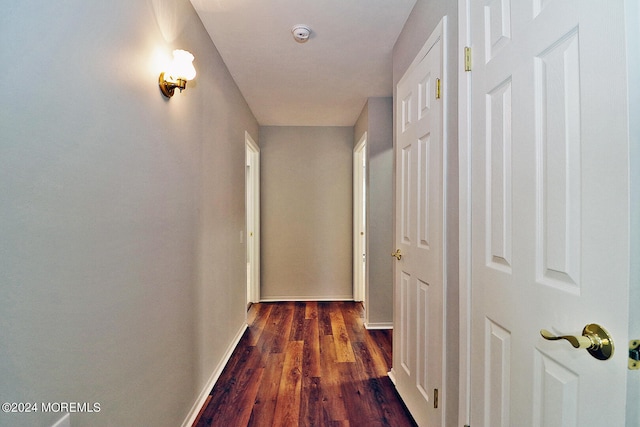 hallway featuring dark wood-type flooring