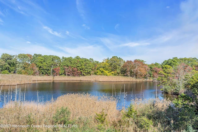 property view of water