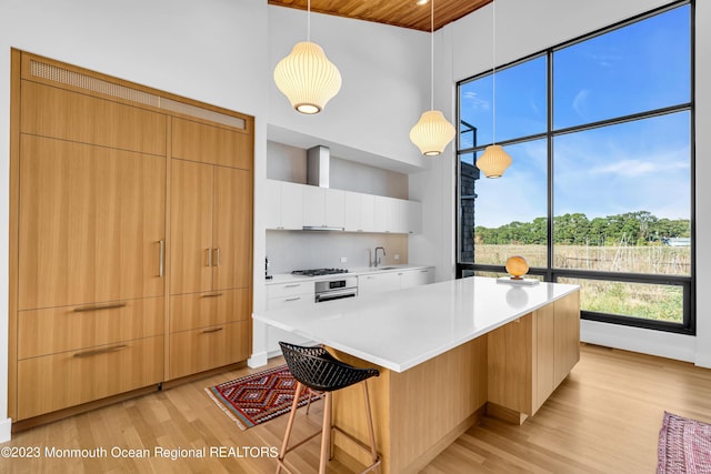 49 N Cherokee Ln, Brick, NJ 08724 - kitchen featuring modern cabinets, a towering ceiling, light wood-style floors, and wooden ceiling