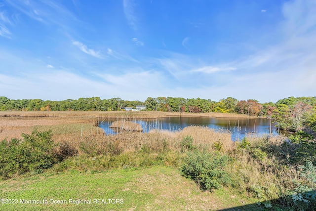 49 N Cherokee Ln, Brick, NJ 08724 - water view with a forest