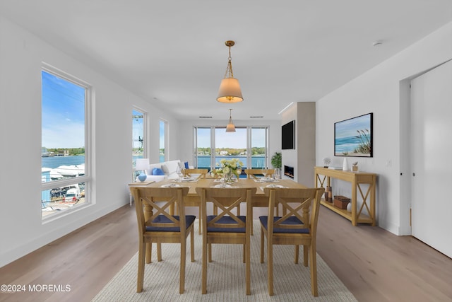 dining room featuring light hardwood / wood-style floors