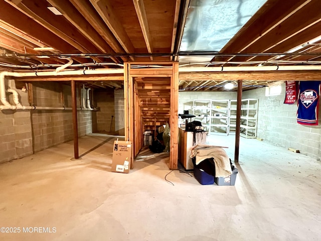 below grade area with concrete block wall