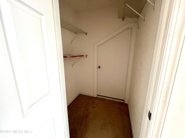 walk in closet featuring carpet floors