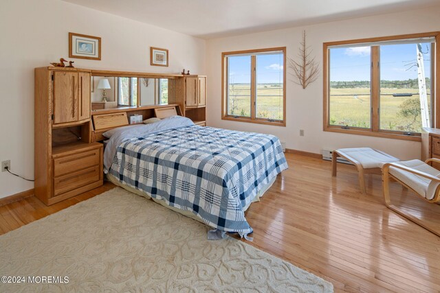 bedroom with light hardwood / wood-style flooring