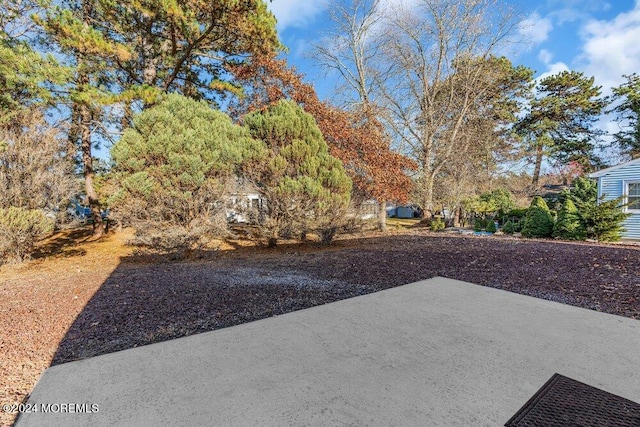 view of yard featuring a patio