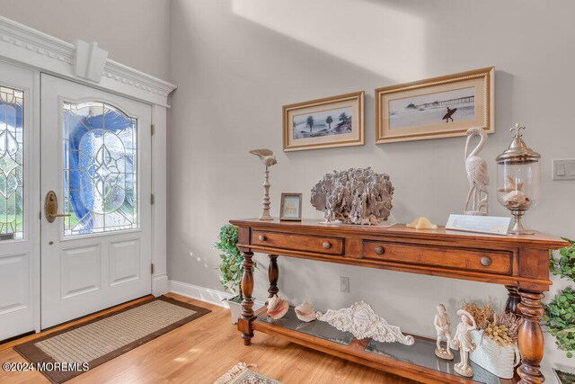 foyer with wood-type flooring and a wealth of natural light