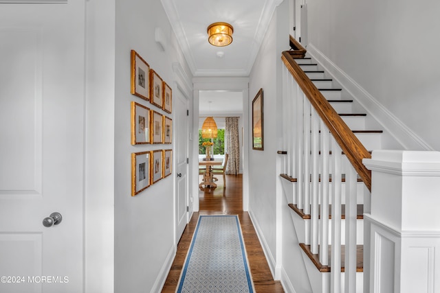 hallway featuring ornamental molding and dark hardwood / wood-style flooring