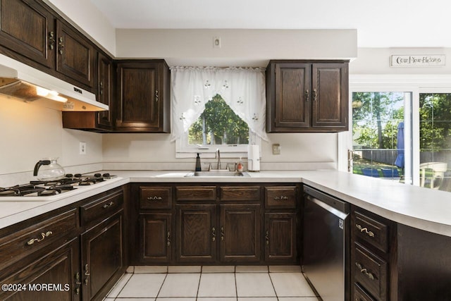 kitchen featuring dark brown cabinetry, white gas stovetop, a healthy amount of sunlight, and stainless steel dishwasher