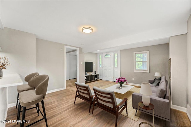 living room with light wood-type flooring