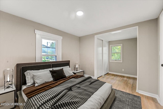 bedroom featuring multiple windows and light hardwood / wood-style flooring