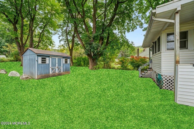 view of yard with a shed