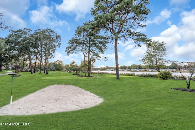 view of property's community featuring a lawn