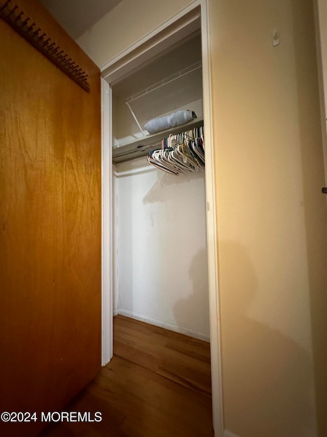 view of closet