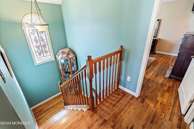 stairs featuring hardwood / wood-style flooring