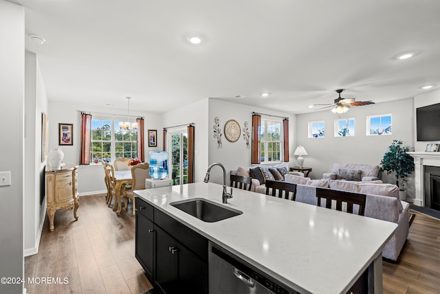 kitchen with dishwasher, an island with sink, sink, and dark wood-type flooring