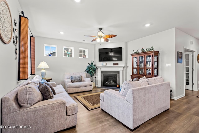 living room with ceiling fan and wood-type flooring