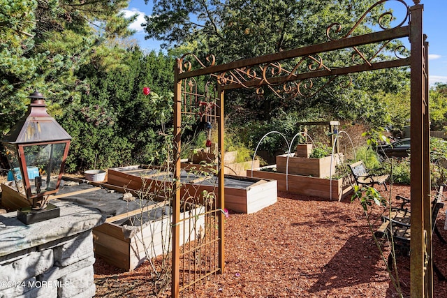 view of yard featuring a vegetable garden