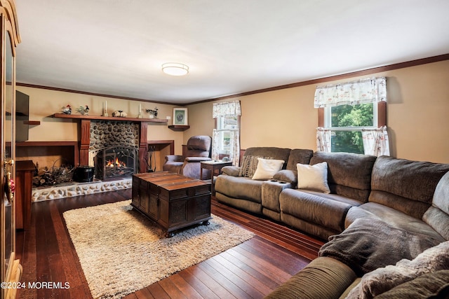 living room featuring wood-type flooring, a fireplace, and a healthy amount of sunlight