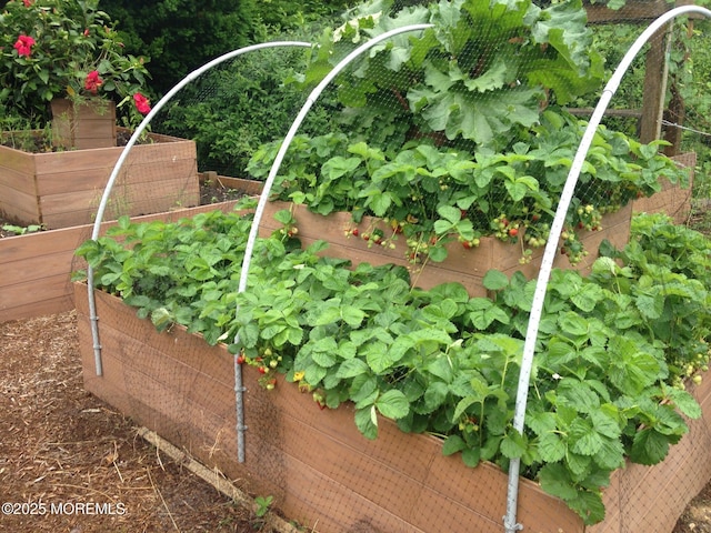 details with a vegetable garden