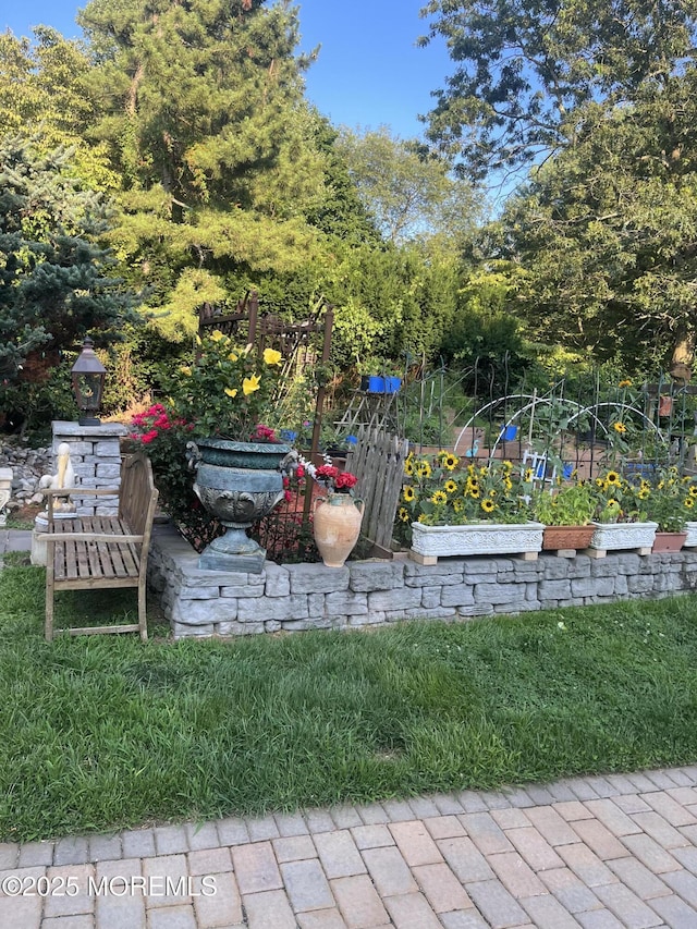 exterior space with a garden