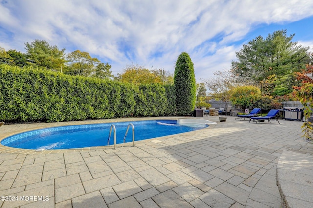 view of pool with a patio